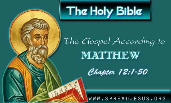The Holy Bible The Gospel According to Matthew Chapter 12:1-50
