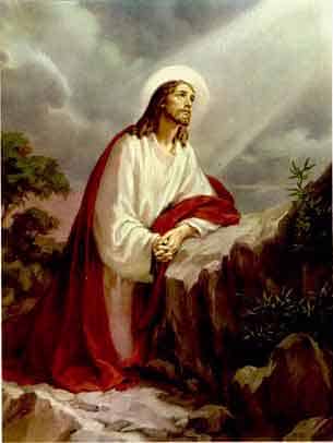 The Agony of Jesus in the garden The Agony of Jesus in the garden