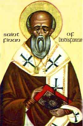 Saint Finian Catholic Saint